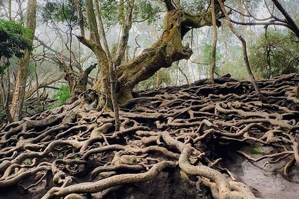 MS-Holidays-Mysuru-Guna-Cave