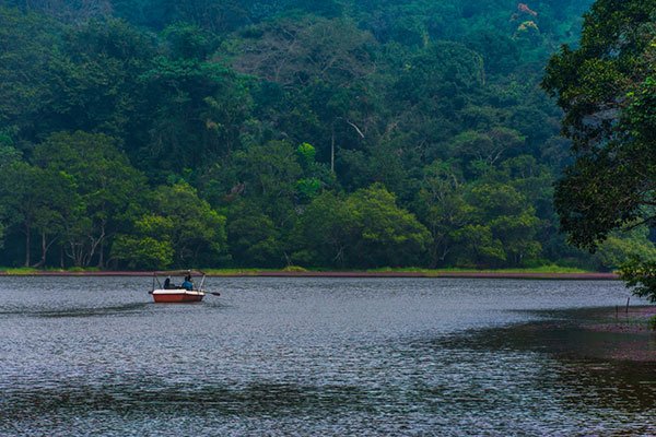 MS-Holidays-Mysuru-Pookode-Lake