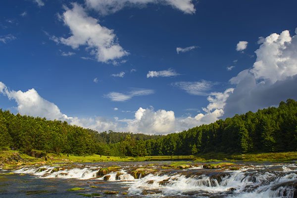 MS-Holidays-Mysuru-Pykara-Lake