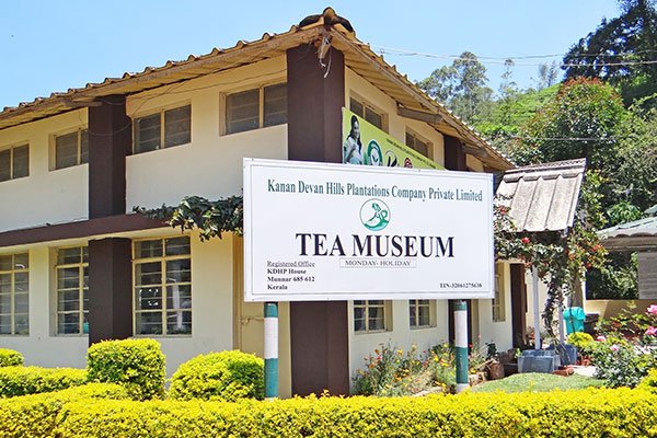 MS-Holidays-Mysuru-Tea-Museum