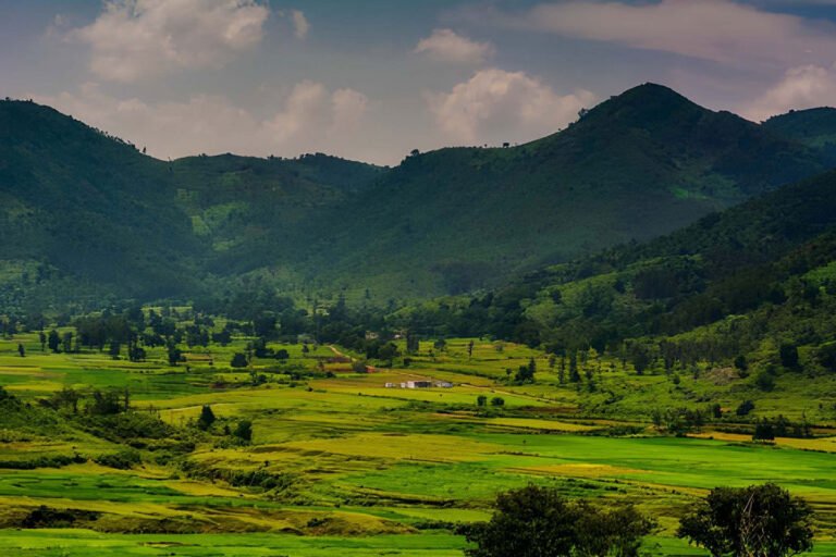 MS-Holidays-Mysuru-Araku-Valley