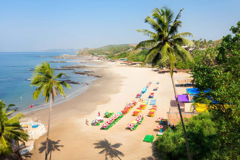 MS-Holidays-Mysuru-Baga