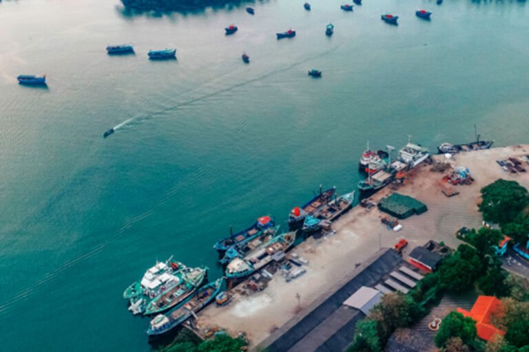 MS-Holidays-Mysuru-Beypore-Port