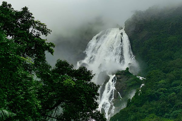 MS-Holidays-Mysuru-Dudhsagar-Falls