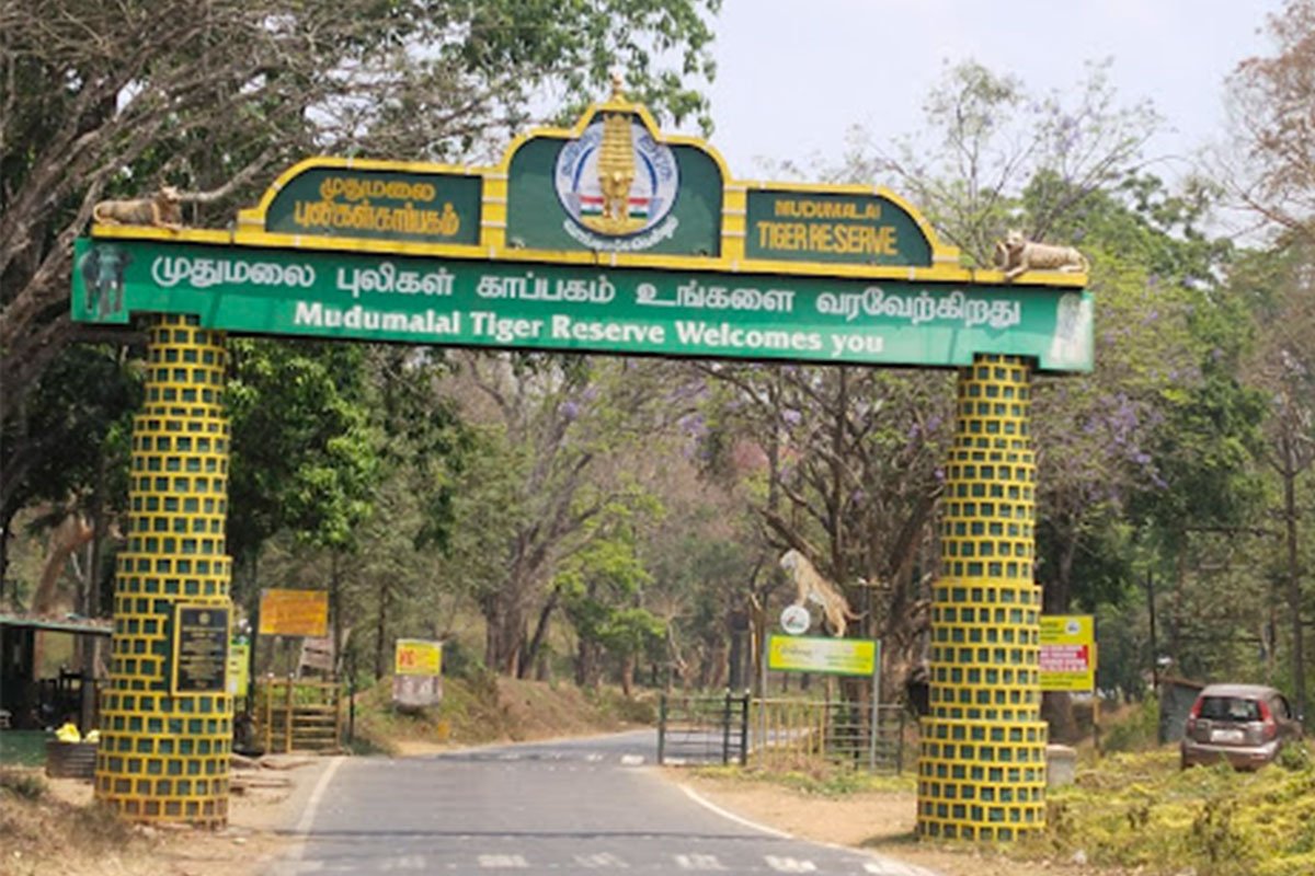 MS-Holidays-Mysuru-Eco-sensitive-forest-zone-landscapes