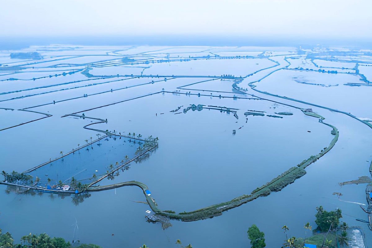 MS-Holidays-Mysuru-Kuttanad