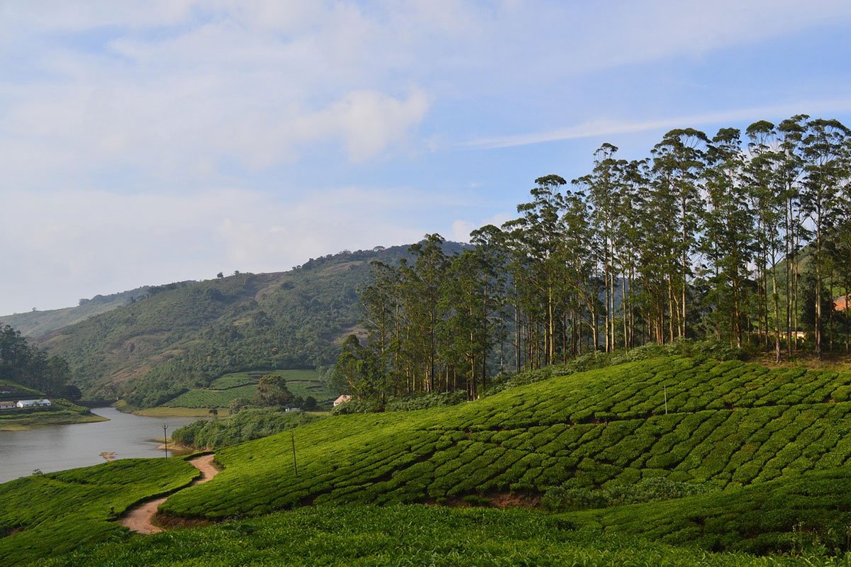 MS-Holidays-Mysuru-Meghamalai-Hills