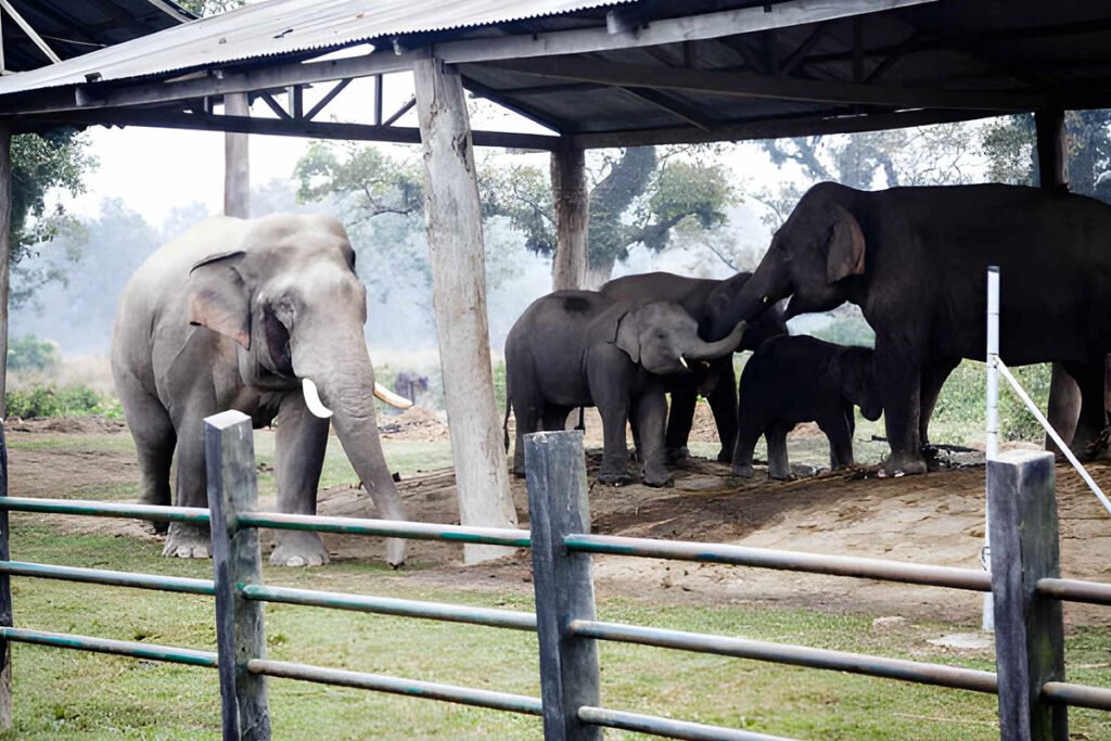 Mysuru to Bengaluru One Way Cabs