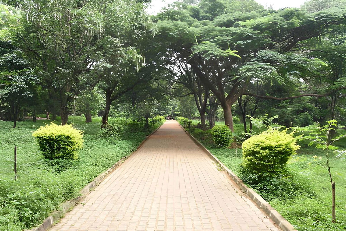 MS-Holidays-Mysuru-Sri-Chamarajendra-Park