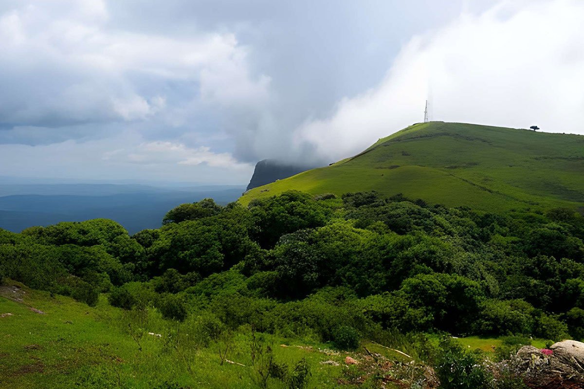 MS-Holidays-Mysuru-mullayanagiri-peak